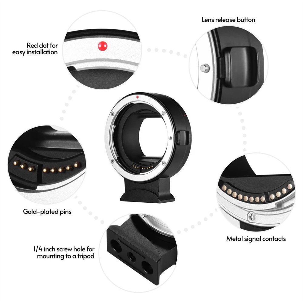 EOS R Mount Adapter EF/EF-S Le - Canon Camera Eos R50 ulasan dan harga