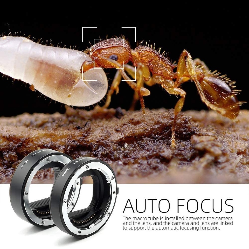 Meike MK-RF-AF1 Metal Auto Foc - Canon Camera Eos R50 ulasan dan harga